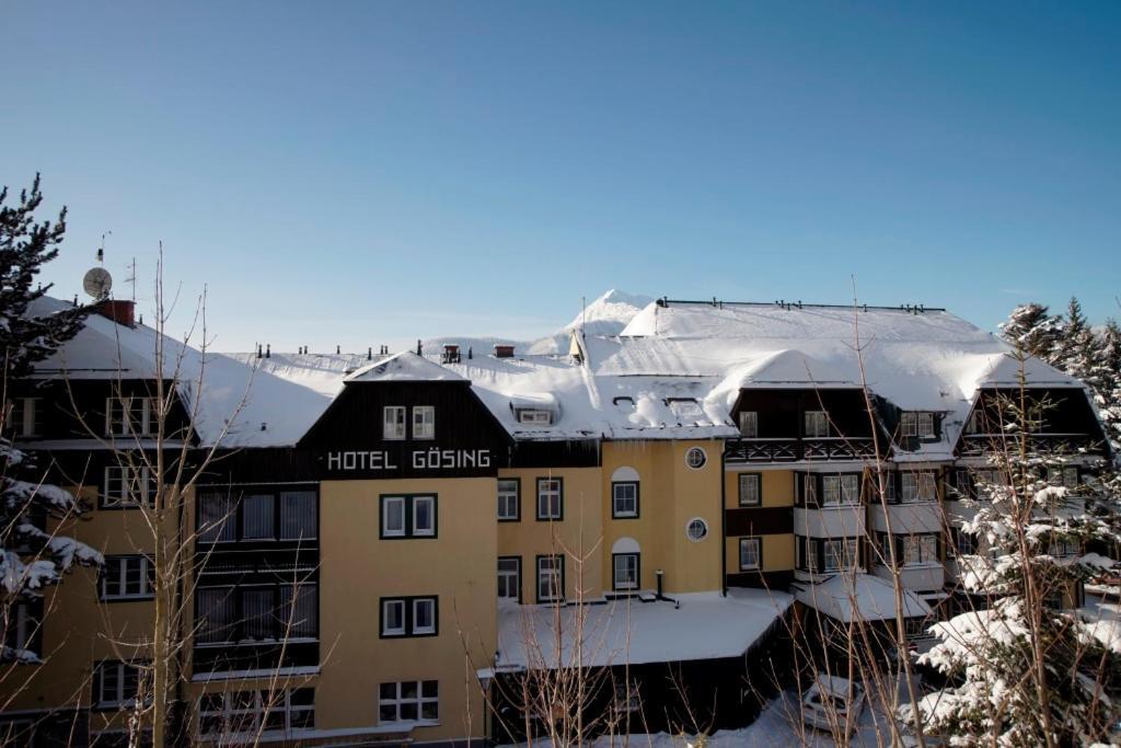 Alpenhotel Goesing Puchenstuben Kültér fotó
